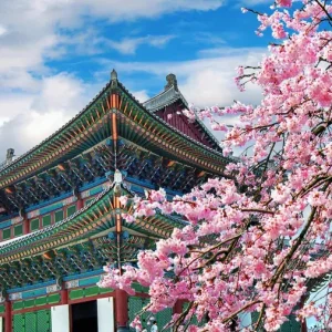 Seoul & Everland - Korea 2026