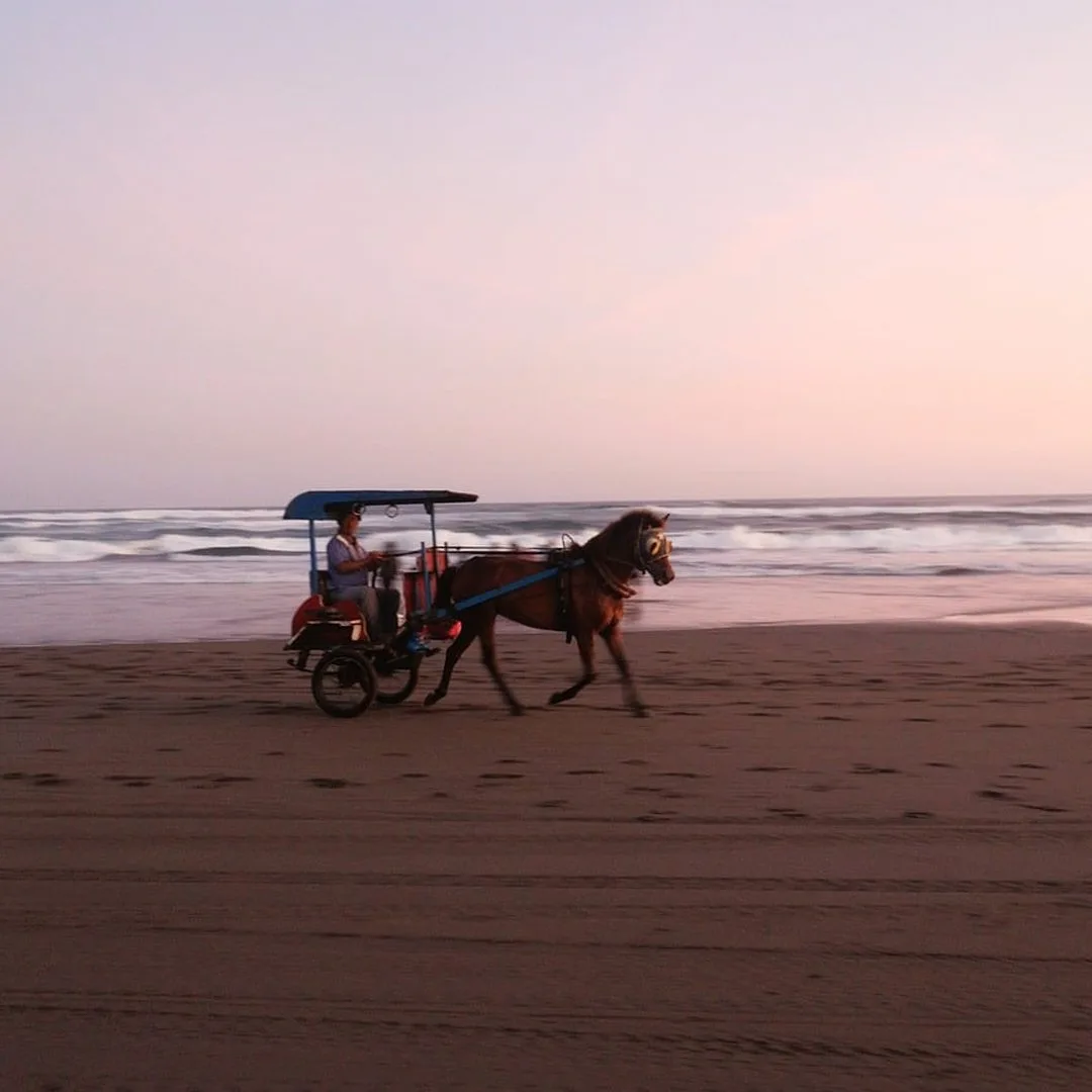 Pantai Parangtritis Yogyakarta