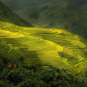 Hanoi, Sapa & Fansipan (Januari)