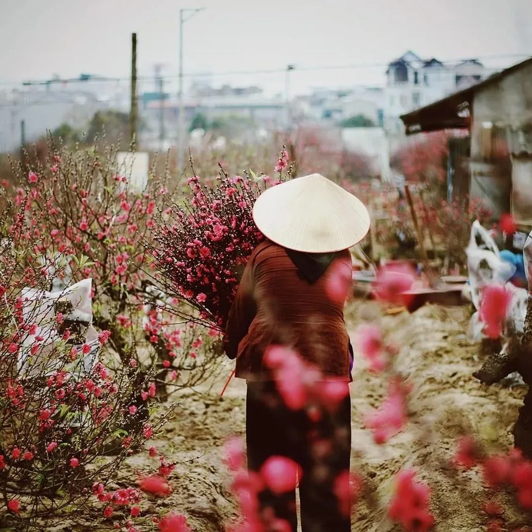 Hanoi, Sapa & Fansipan (Januari)